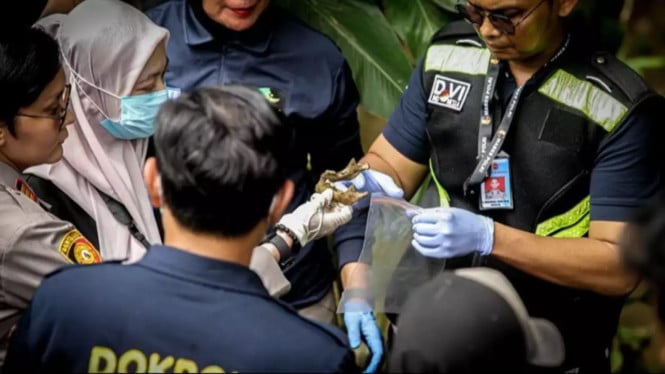 Polisi temukan rahang bawah diduga milik alvaro saat penyisiran