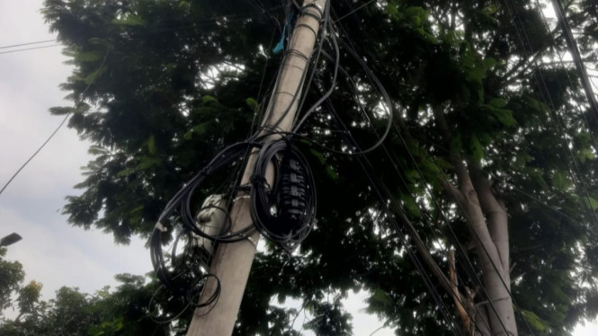 Kabel wifi rumahan menumpang pada tiang PLN dan Telkom