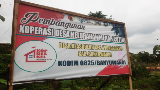 KDMP Alasbuluh, Wongsorejo, Banyuwangi, Jawa Timur