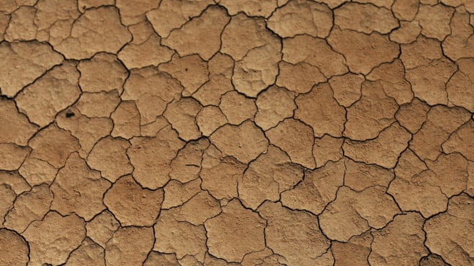 Fenomena El Nino, BMKG: Kemarau 2026 Lebih Kering Dibanding Rata-rata ...