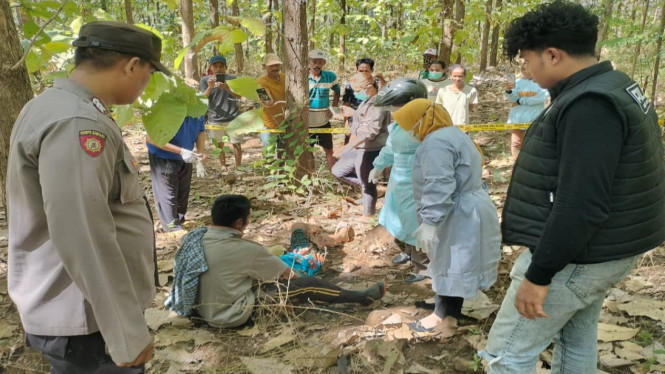 Penemuan jasad Aminah di kawasan hutan jati
