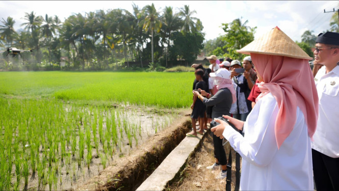 Surplus Beras 174 Ribu Ton, Banyuwangi Perkuat Strategi Produksi Pangan