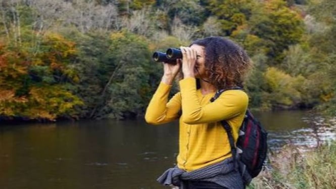 Seorang anggota komunitas birdwatching mengamati burung di habitat alaminya menggunakan teropong