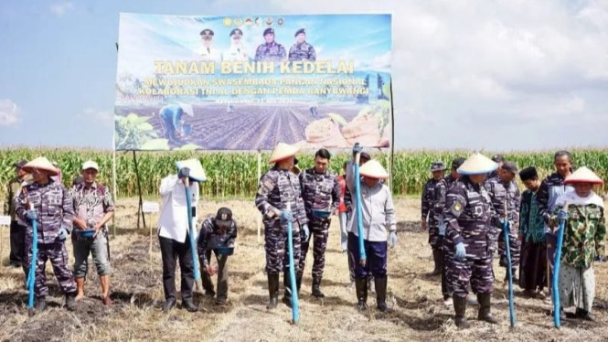 Penanaman kedelai di lahan pertanian Desa Purwoagung, Banyuwangi