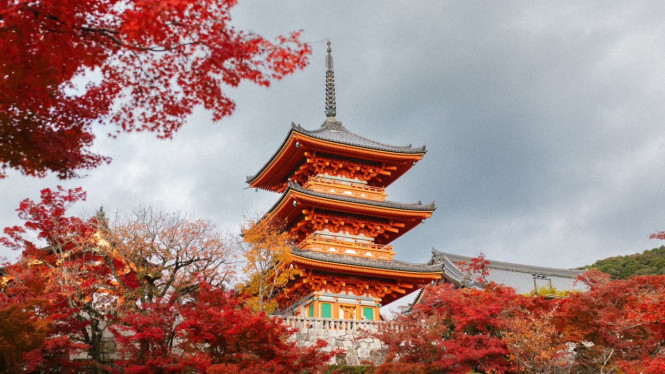 Beasiswa pendidikan di Jepang