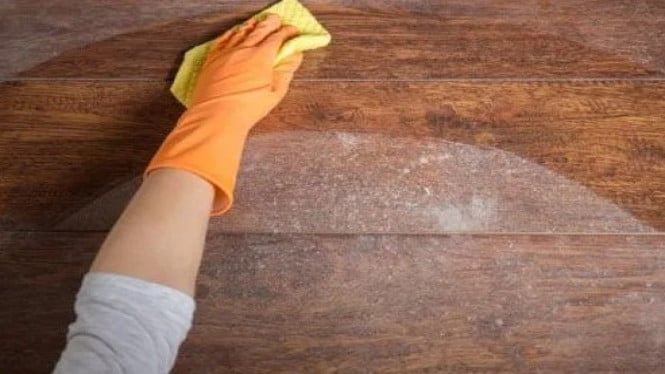Meja kayu dipenuhi jamur