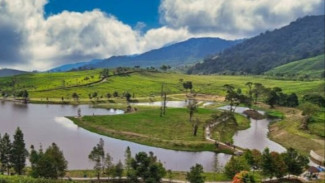 Puncak Diusulkan di Bawah Otorita Khusus