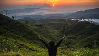 Pesona Wisata Kebun Teh Nirmala, Ada Sunrise dan Pemandangan Alam Nan Asri