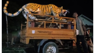 Ajat, Pengrajin Patung Asal Ciampea, Karyanya Tembus Luar Pulau Jawa