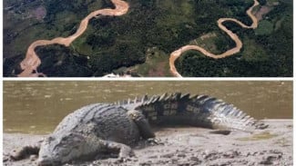 Misteri Buaya Gaib di Sungai Kapuas, Penjaga Tak Kasatmata dari Kalimantan Barat