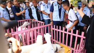 Kontes Domba, Inovasi Alat Pertanian Modern, hingga “Ambulans Ikan” Meriahkan Hari Peternakan ke-189 di Pakansari