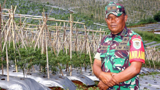TNI AD Garap 200 Hektare Lahan Agroforestri di Gunung Hejo Purwakarta