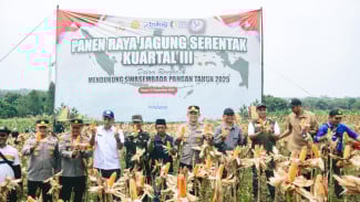 Dari Jasinga, Polres Bogor Hadiri Panen Raya Jagung Serentak Kuartal III