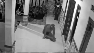 Aksi Curanmor di Cibungbulang Terekam CCTV, Empat Motor dan Uang 5 Juta Raib