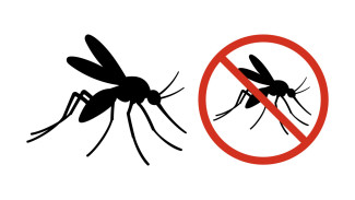 Masyarakat Harus Waspada DBD