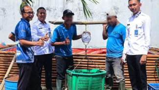 Lapas Cibinong Panen 2 Kuintal Lele: Dari Balik Jeruji untuk Ketahanan Pangan