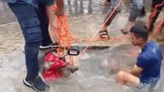 Motor Tercebur ke Kali Saat Hujan Deras di Cileungsi, Begini Kronologinya