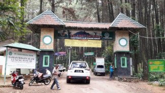 Gunung Pancar Bukan Sekadar Wisata, Tempat Healing Paling Tenang di Bogor