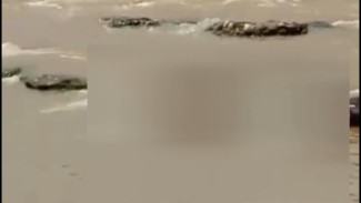 Penemuan Mayat Mengambang di Sungai Cisadane, Korban Diduga Lelaki yang Terjun dari Atas Jembatan Gerendong