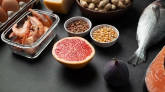 Langkah KPK Kaji Pelaksanaan Program MBG