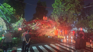 Pohon Raksasa Tumbang di Depan Gereja Katolik Bogor, Arus Lalulintas Dialihkan