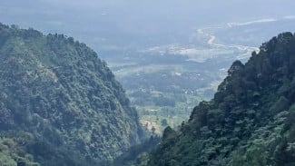 Gunung Butik Bogor, Wisata Alam dan Pendakian dengan Aura Mistis di Puncaknya