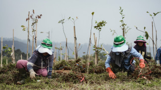 Langkah Nyata Investasi Hijau EIGER Adventure Land: Transformasi Konflik Agraria menjadi Ekowisata Bermakna