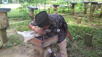 Budidaya Madu Kelulut di Leuwiliang Biayai Sekolah Gratis untuk Anak Desa