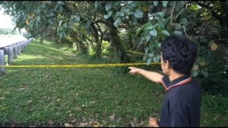 Penemuan Mayat Terikat di Tol Jagorawi Gegerkan Warga Citeureup, Begini Penjelasan Polisi