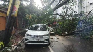 Sebuah Mobil Tertimpa Batang Pohon Ambruk di Taman Malabar, Begini Kronologinya