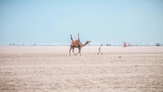 “Rohilah”: Simbol Keteguhan dan Keistimewaan dalam Pandangan Islam