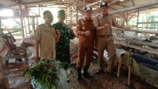 Dorong Ekonomi Warga, Desa Selawangi Kembangkan Peternakan Domba Terpadu