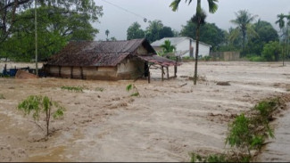 Sederet Langkah Penanganan Trauma Anak-anak Korban Bencana