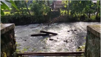 Jembatan Bambu Penghubung Bogor–Karawang Hanyut Diterjang Arus Sungai Ciomas