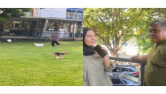 Pesona Hijau Como Park, Oase Tenang di Tengah Hiruk Pikuk Jakarta