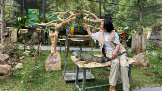 Liburan Nataru Makin Ceria! Rivera Bogor Suguhkan Promo Tiket Rp88 Ribu, Edukasi Anak, hingga Kids Funfest