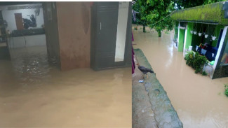 Hujan Deras, Sungai Cimanceuri Meluap, Sejumlah Rumah Warga Rumpin Terendam Banjir