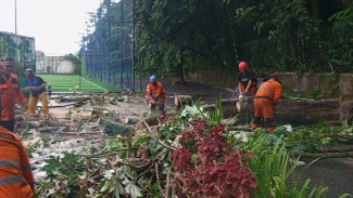 Pohon Roboh Akibat Hujan dan Angin Kencang, Menimpa Bangunan Tua di Area Parkir Taman Sempur
