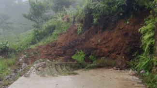 Hujan Tiga Hari Picu Longsor, Akses Jalan ke Kebun Teh Nirmala di Malasari Terputus