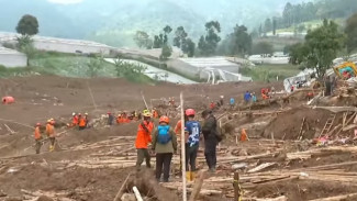 Lahan Hutan Jadi Pemukiman, Longsor Cisarua Bandung Barat Telan Puluhan Korban
