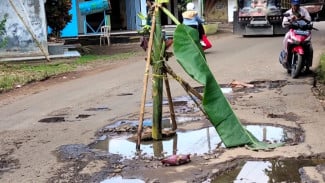 Jalan Kabupaten Bogor Ditanami Pohon Pisang, Warga Protes Jalan Rusak