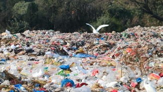 Darurat Sampah Plastik di Indonesia: Ancaman Nyata bagi Lingkungan dan Kesehatan