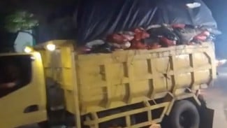 Rumpin Jadi Sasaran Sampah Liar, Ketua RW Hadang Truk dan Minta Putar Balik