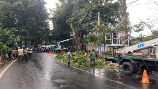 Lima Pohon Di-balling dan Direlokasi, Cut and Fill Ditarget Dua Pekan