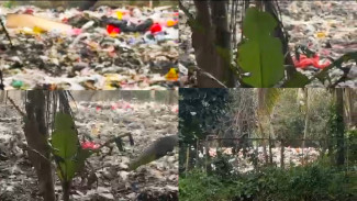 Viral TPS Ilegal di Parung Bogor, Warga Waru Jaya Resah Dampak Bau dan Ancaman Banjir