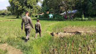 Pengukuran Lahan Bendungan Cibeet Dilanjutkan, Forkopimcam Cariu Pastikan Proses Kondusif