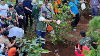 Program Hutan Kota Bogor Capai 156,44 Hektare dalam 4 Bulan, 45.152 Pohon Tertanam