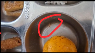 Viral di Bogor: Menu MBG Diduga Tercemar Belatung, Kepala SPPG Hambaro Klarifikasi