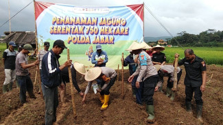 Polsek Nanggung Tanam Jagung Hibrida, Dukung Ketahanan Pangan di Kecamatan Nanggung