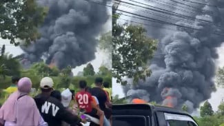 Kebakaran Peternakan Ayam di Ciseeng, Asap Hitam Pekat Terlihat dari Jauh